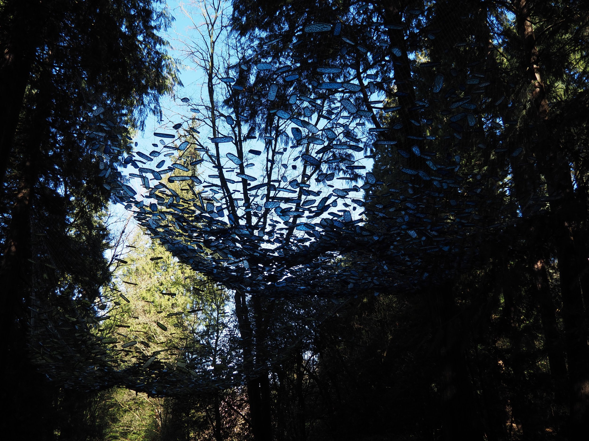 Arboretum 3