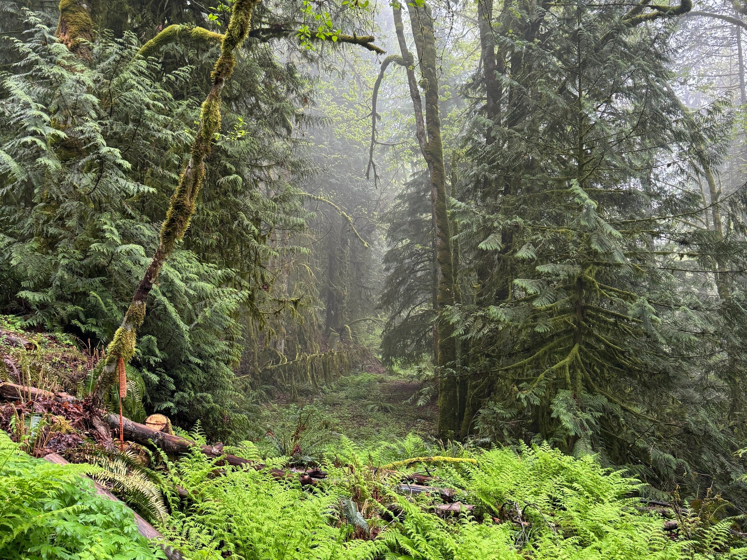 Margaret's Way 1
