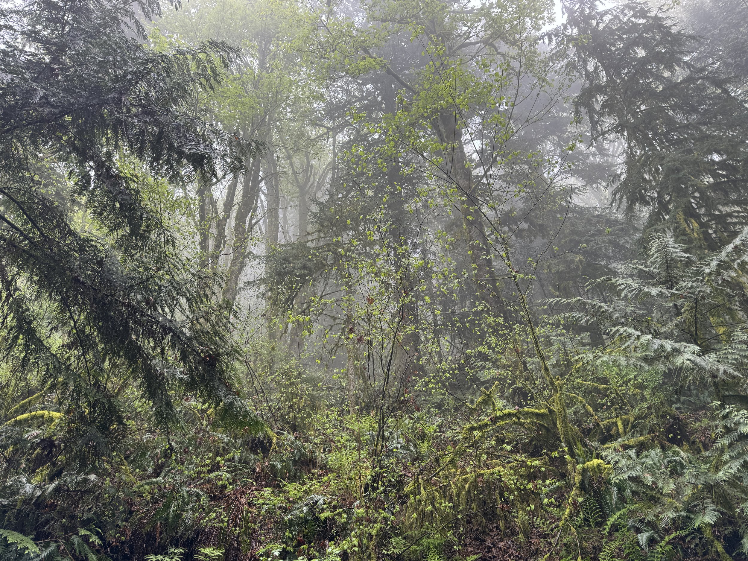 Margaret's Way 3
