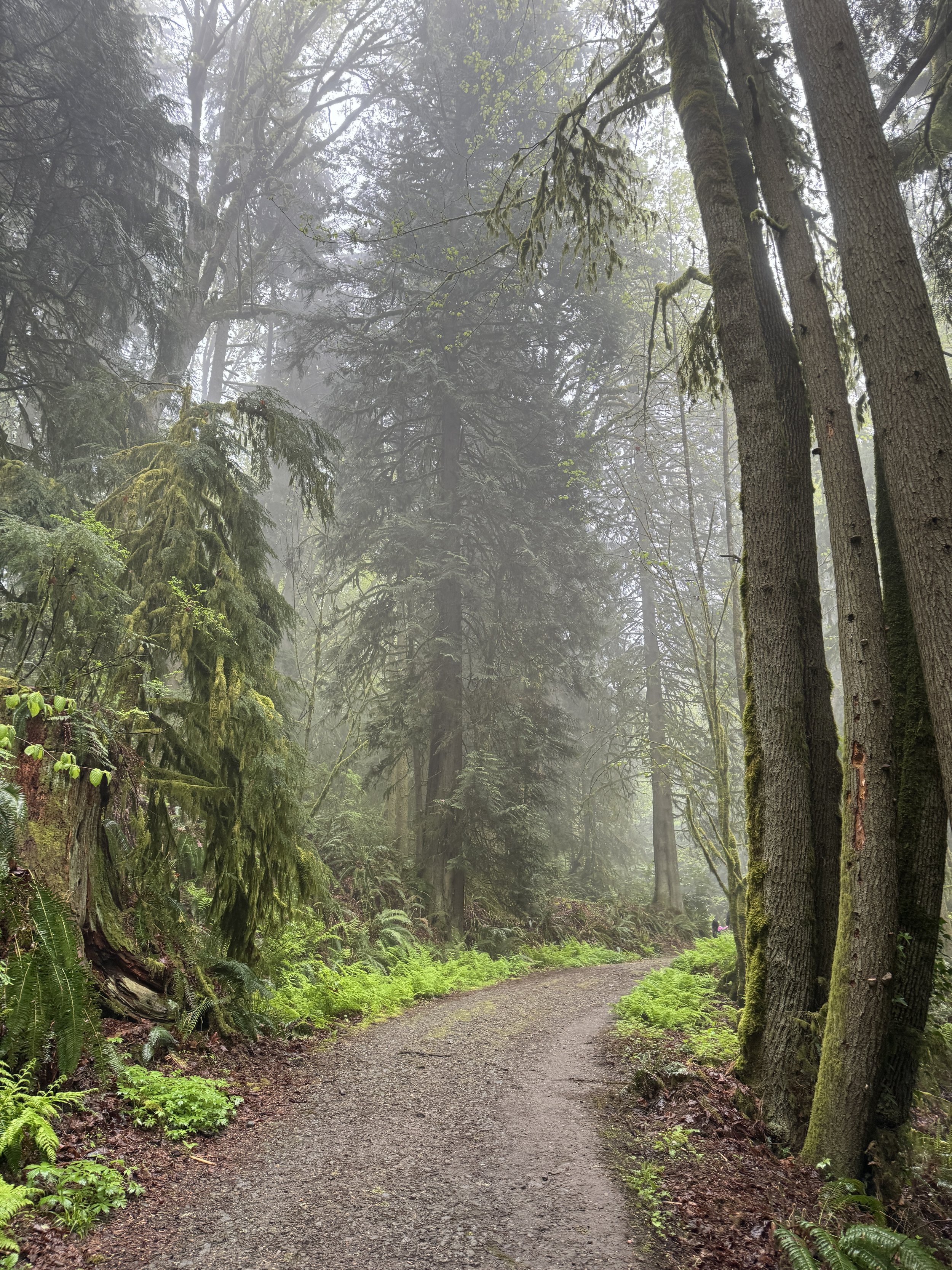 Margaret's Way 4