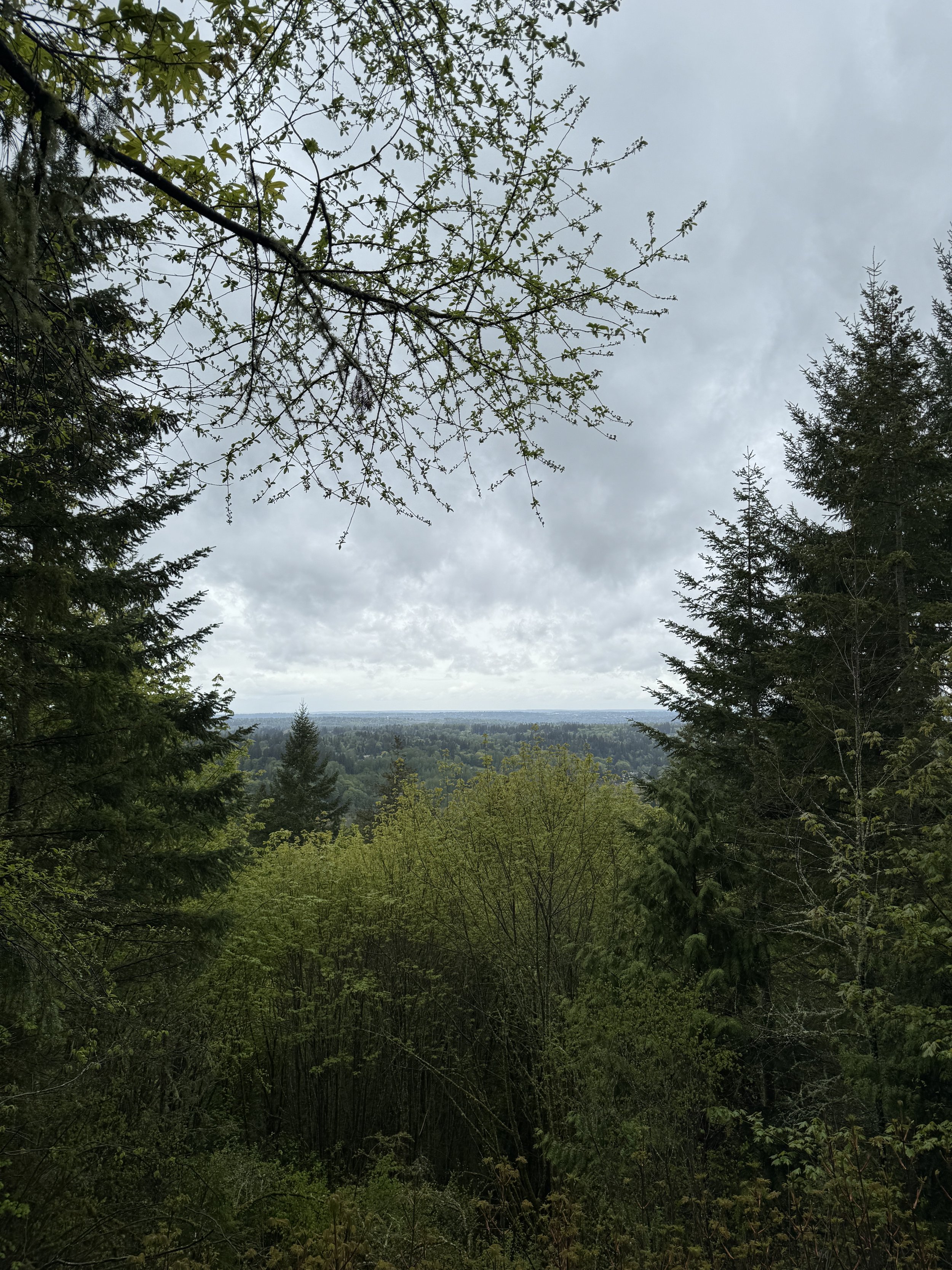 Margaret's Way 5