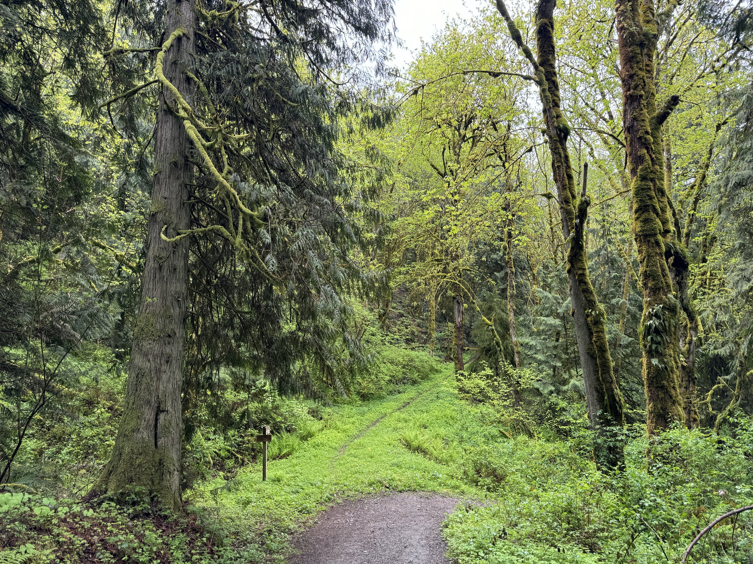 Margaret's Way