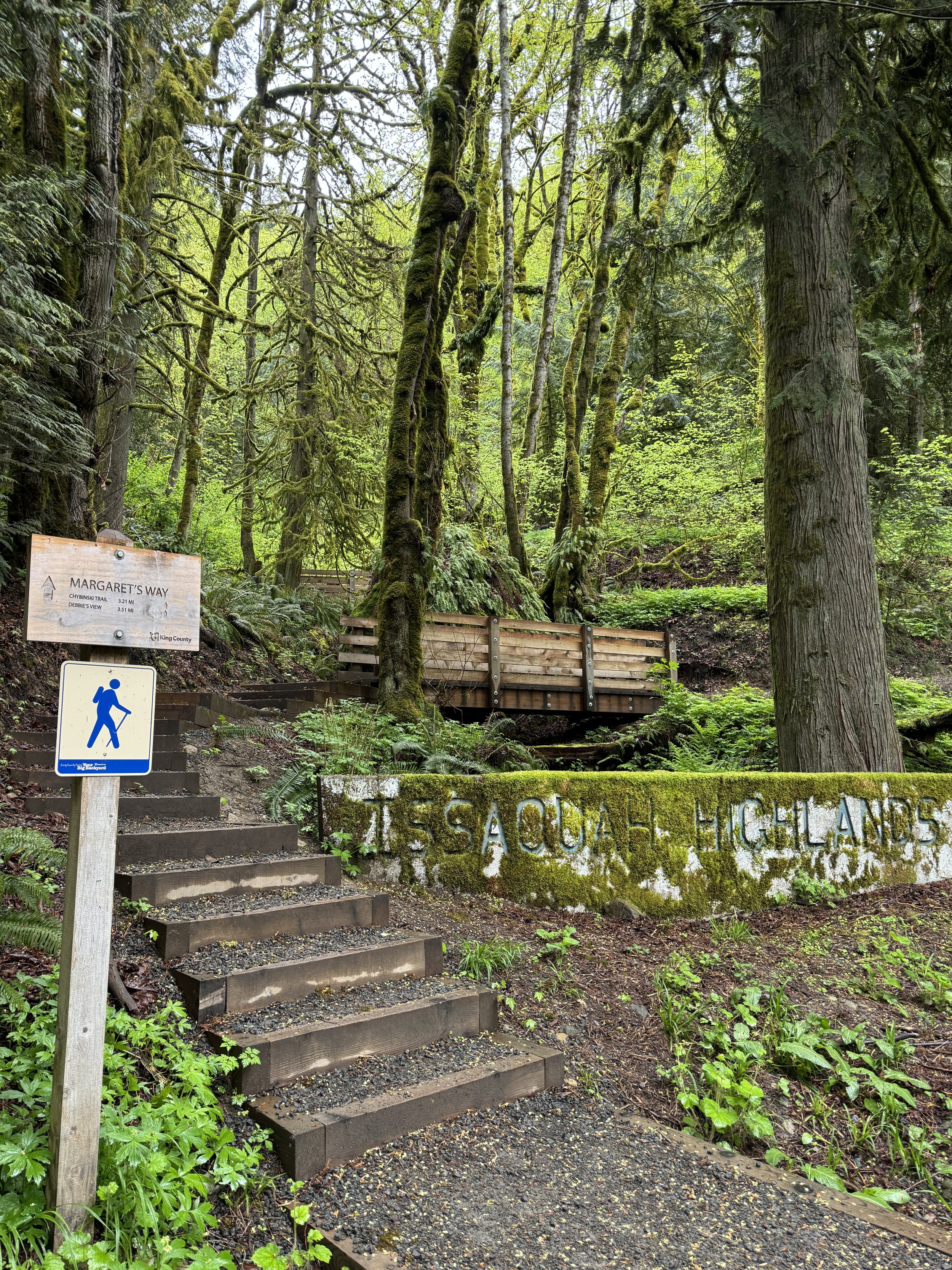 Margaret's Way 8