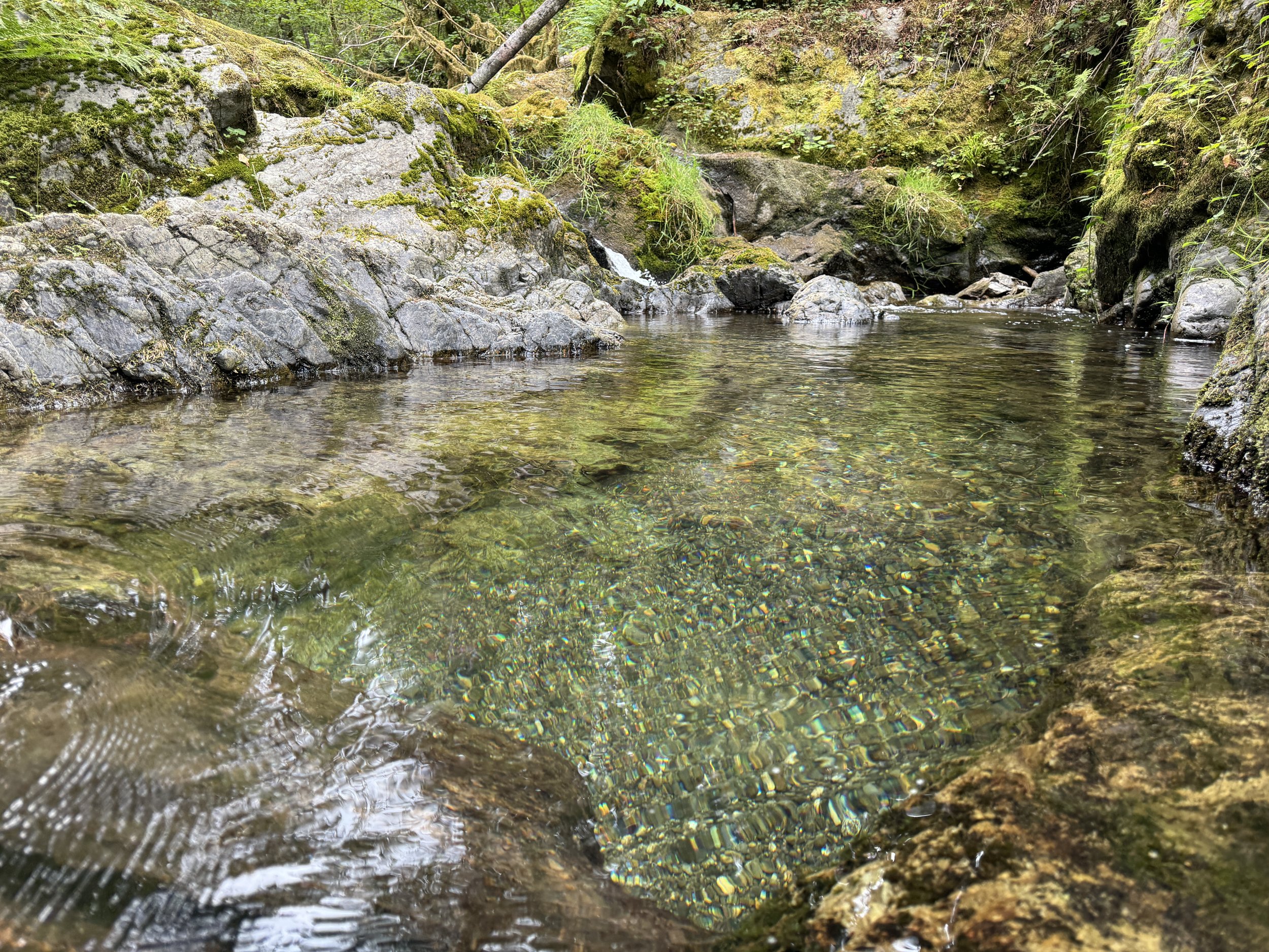 Mount Baker 4