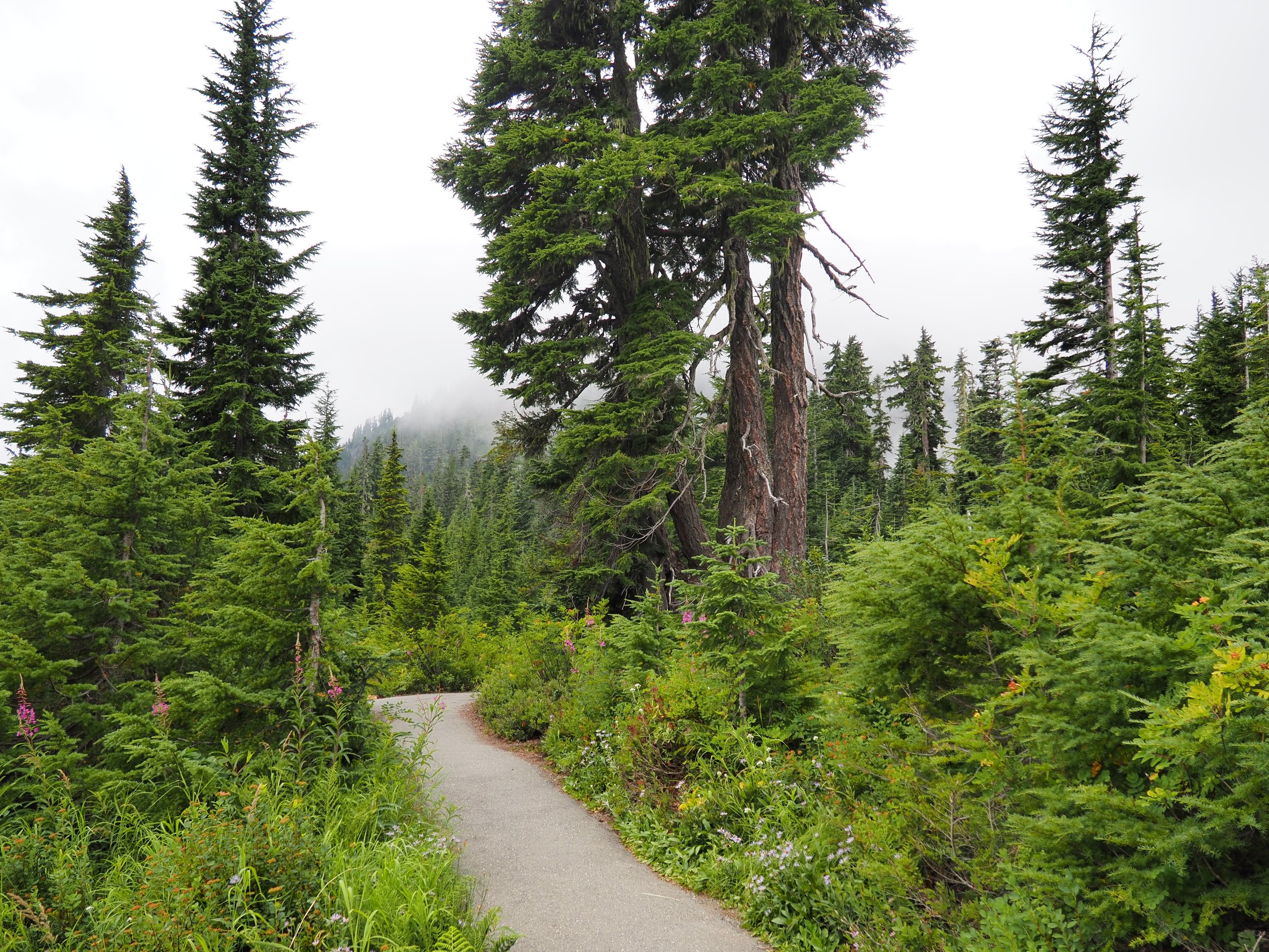 Mount Baker 6