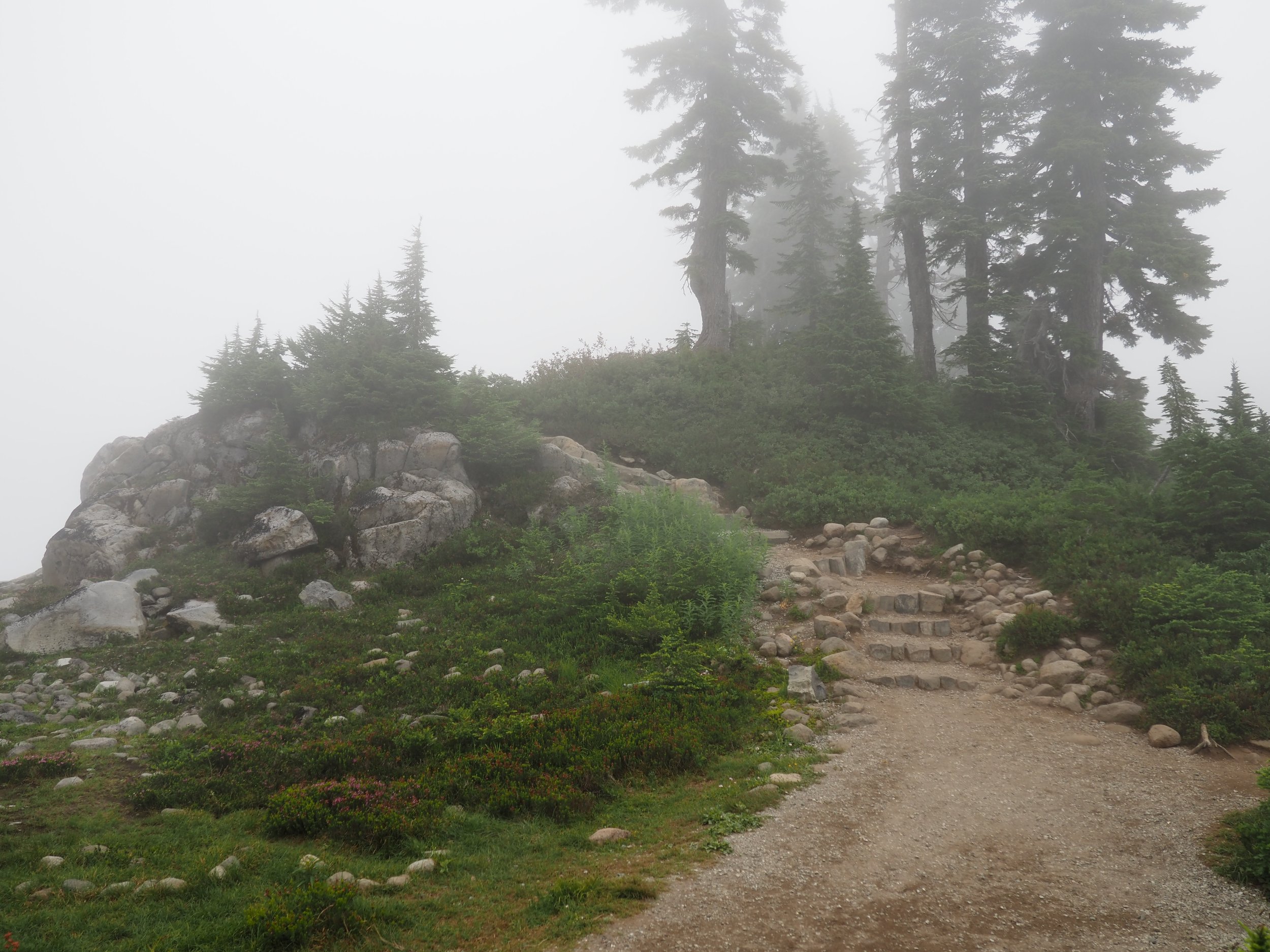 Mount Baker 10