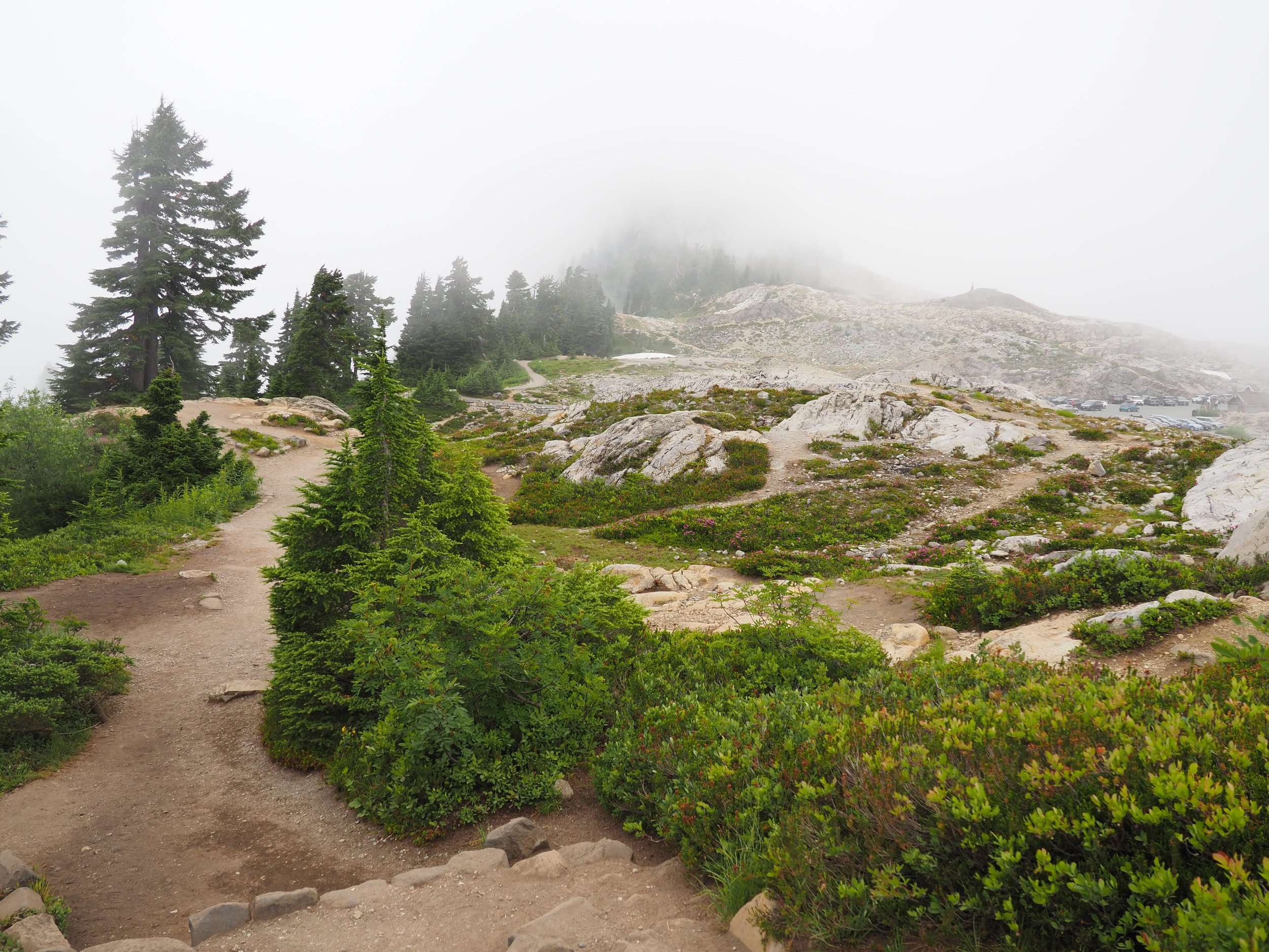 Mount Baker 13